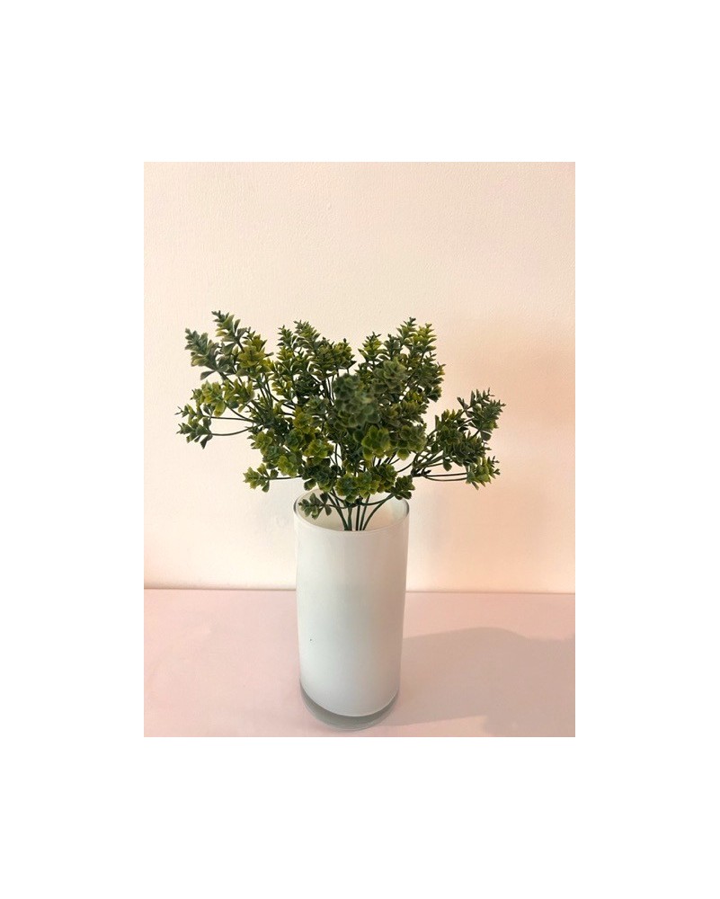 Follaje kalanchoe 30cm, dos colores.