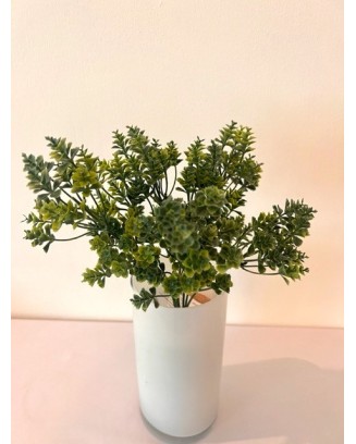 Follaje kalanchoe 30cm, dos colores.