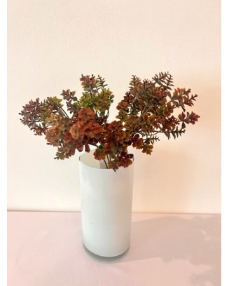 Follaje kalanchoe 30cm, dos colores.