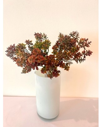 Follaje kalanchoe 30cm, dos colores.