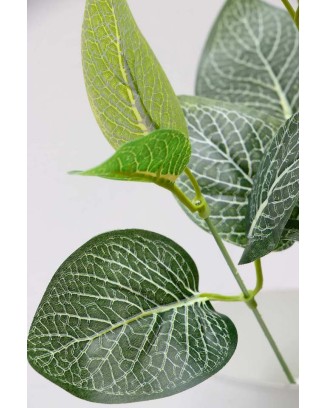 Follaje Ruscus 34cm