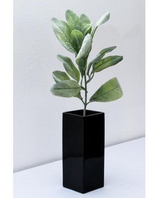 Hojas cenizas evergreen 36cm