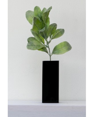 Hojas cenizas evergreen 36cm