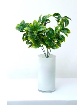 Plantita evonimo verde 37cm altura