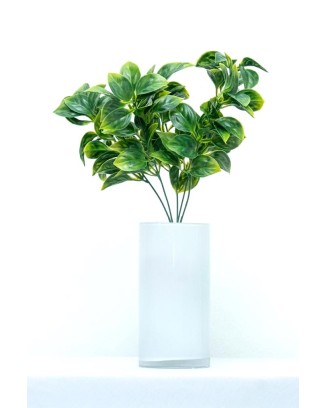 Plantita evonimo verde 37cm altura