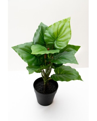 Plantita hoja elegante textura natural en maceta 35cm altura