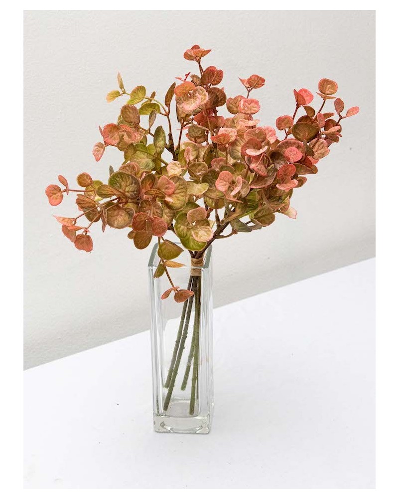 Ramito de peperonia 35cm largo, tres colores