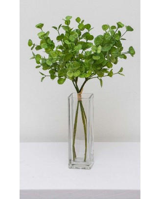 Ramito de peperonia 35cm largo, tres colores