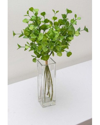 Ramito de peperonia 35cm largo, tres colores