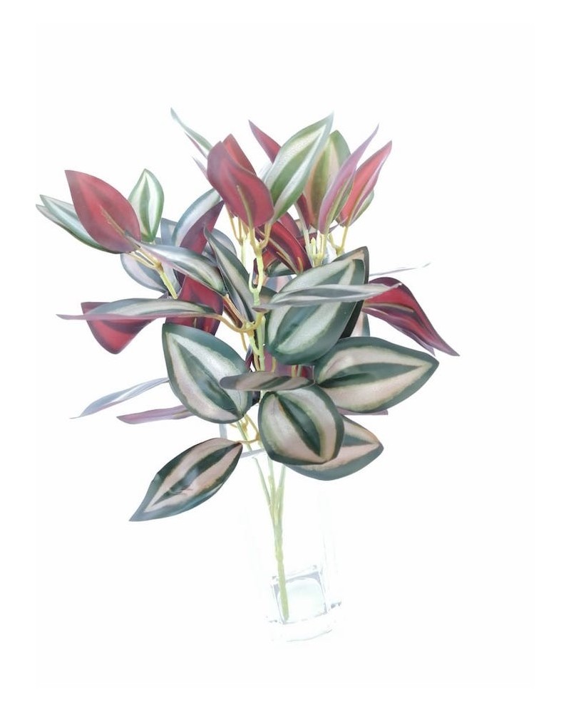 Tradescantia con 5 varas, 32cm