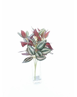 Tradescantia con 5 varas, 32cm