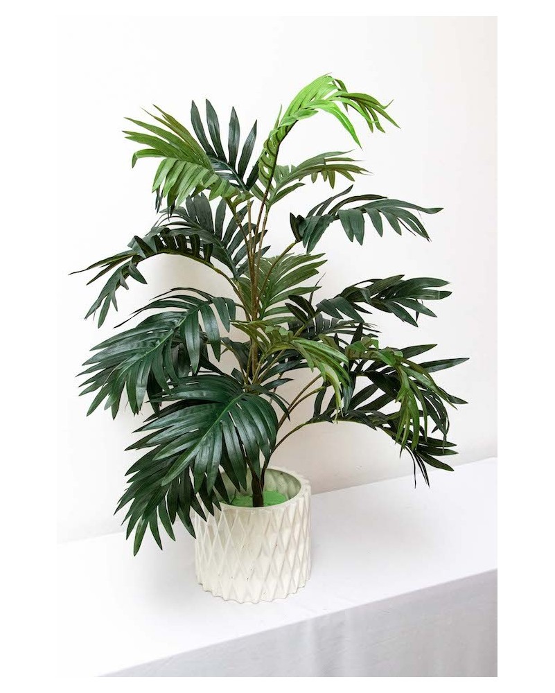 Follaje de palma 70cm
