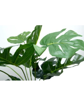Follaje Garra de León 52cm largo