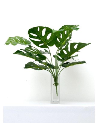 Follaje Garra de León 52cm largo