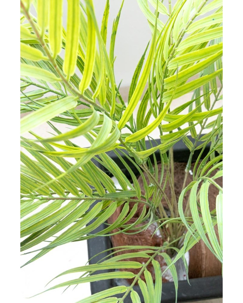 Follaje hojas de palma 75cm, dos colores