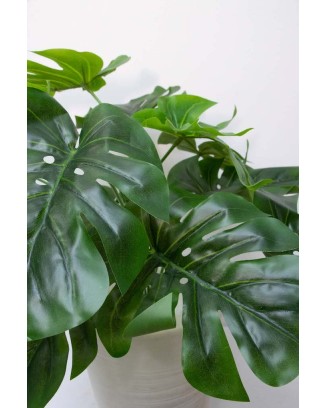 Follaje monstera 50cm