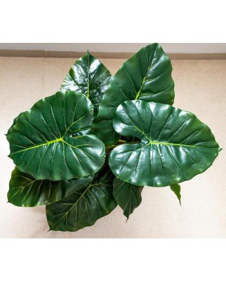 Hoja elegante natural  66cm de largo