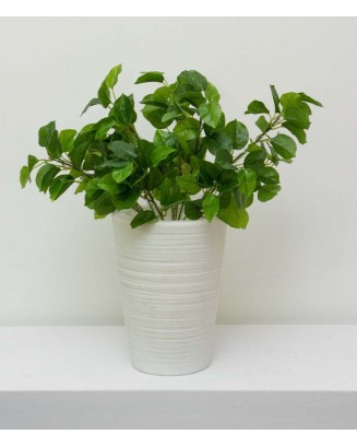 Licolisandra verde 50cm