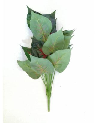 Paquete calathea rosea roja 58cm largo, 12pzas