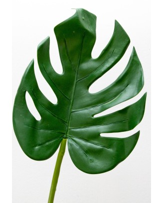 Plantita garra de león 70cm