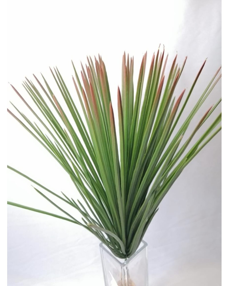 Cebollín 45cm de largo, tres colores.