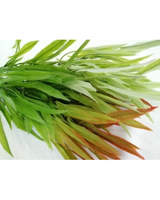 Follaje hoja de pescado 39cm