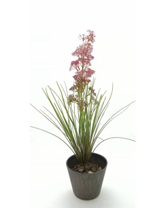 Planta con flores y...