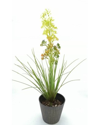 Planta con flores y zacatillo, lila y amarilla