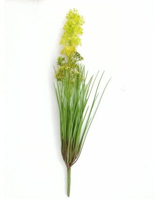 Planta con flores y zacatillo, lila y amarilla