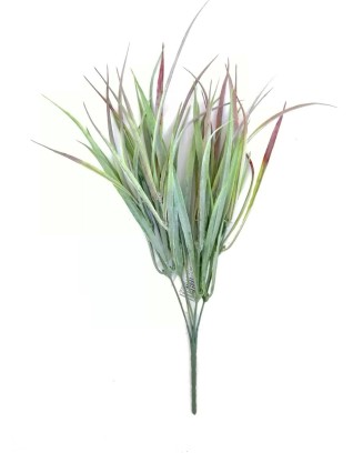 Zacate cenizo 38cm largo