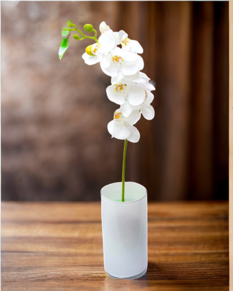 Orquídea 7 flores y un botón 60cm