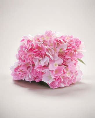 Ramo de Hortensias 7...
