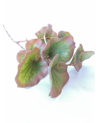 Follaje Leura 75cm altura, dos colores