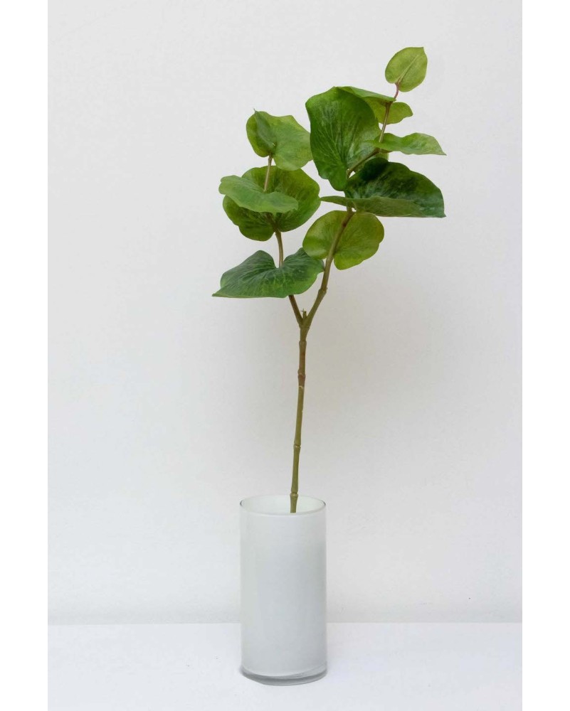 Follaje Leura 75cm altura, dos colores
