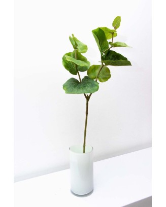 Follaje Leura 75cm altura, dos colores