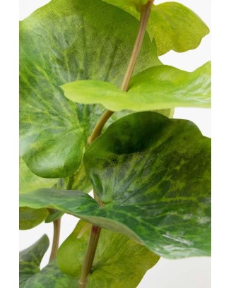 Follaje Leura 75cm altura, dos colores