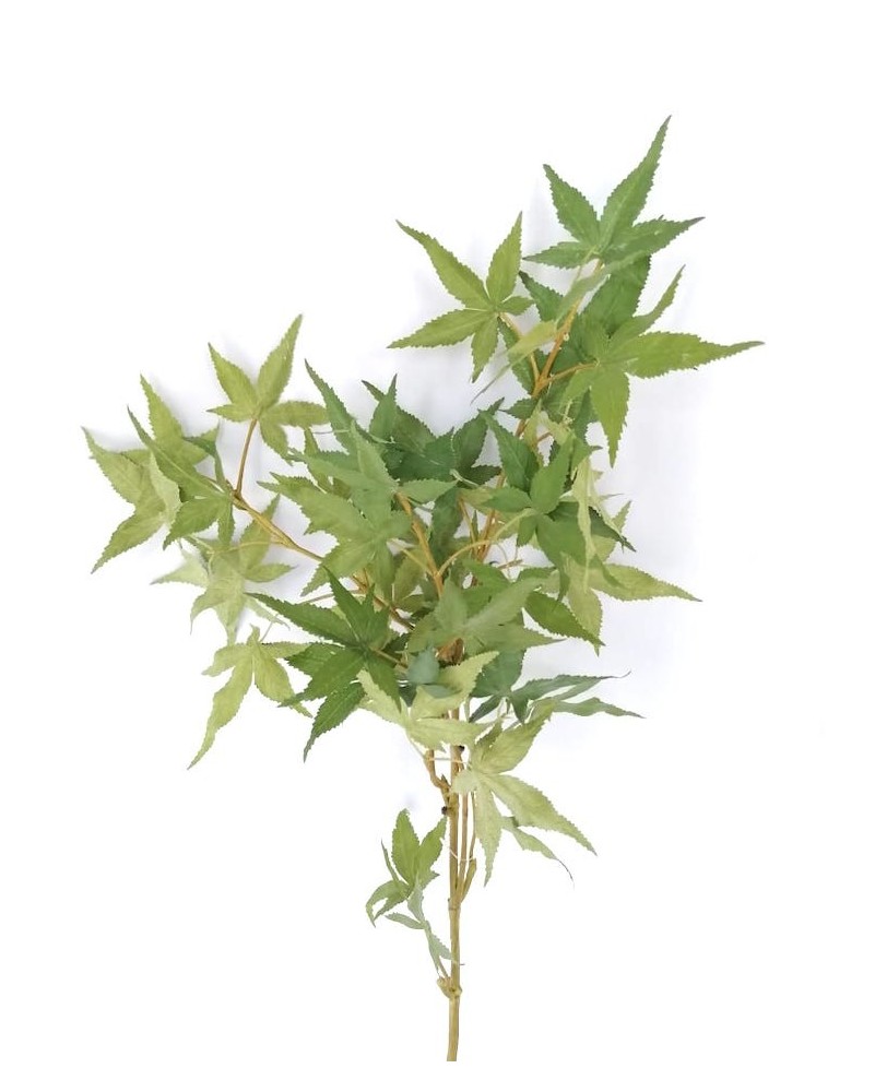Vara de Cannabis 90cm largo