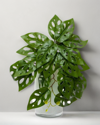 Colgante monstera andasonii...