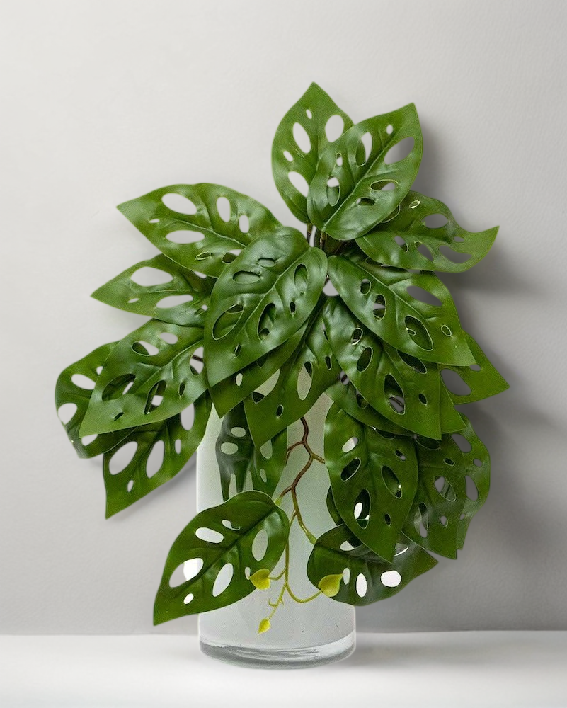 Colgante monstera andasonii 39cm largo
