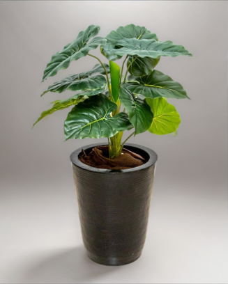 Hoja elegante natural  66cm...