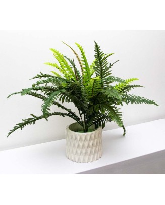 Helecho verde deluxe 55cm