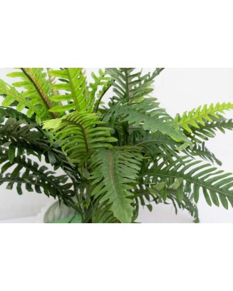 Helecho verde deluxe 55cm
