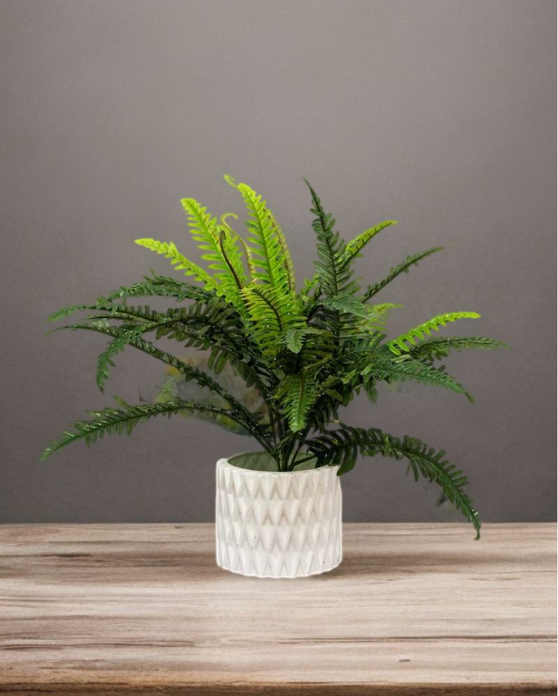 Helecho verde deluxe 55cm