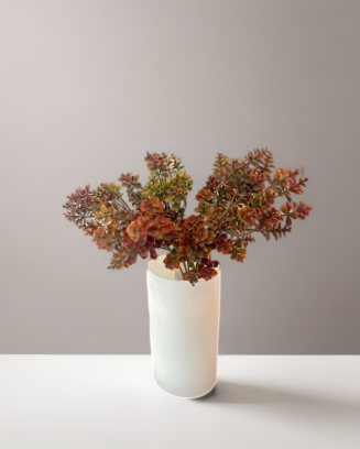 Follaje kalanchoe 30cm, dos...