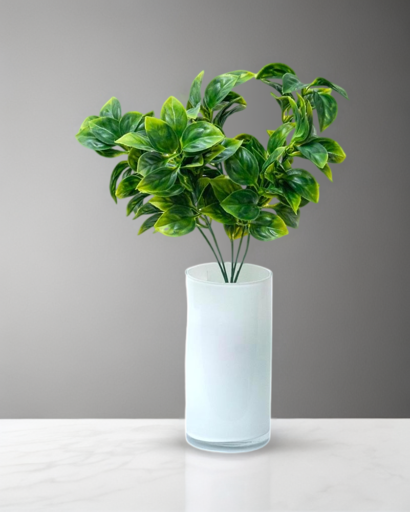 Plantita evonimo verde 37cm altura