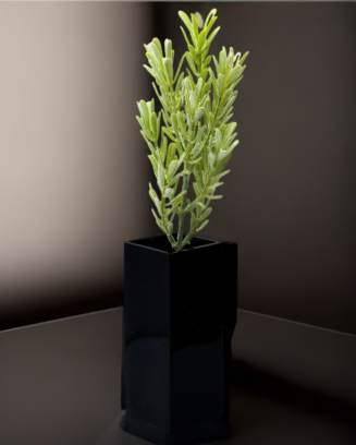 Varita de suriana ceniza 38cm