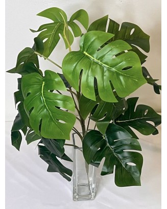 Planta monstera 47cm con protección UV