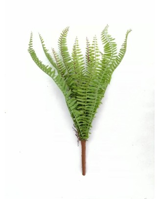 Helecho apariencia natural mediano 50cm