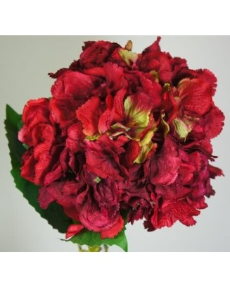 Hortensia wild 22cm diámetro, varios colores