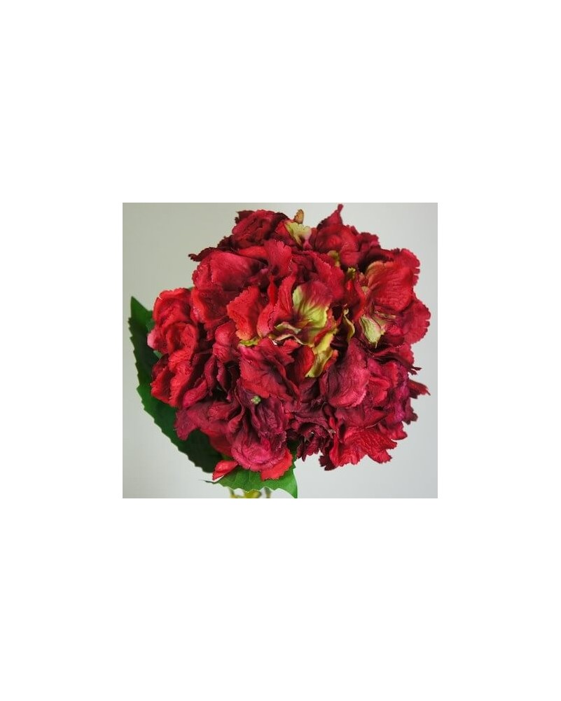 Hortensia wild 22cm diámetro, varios colores
